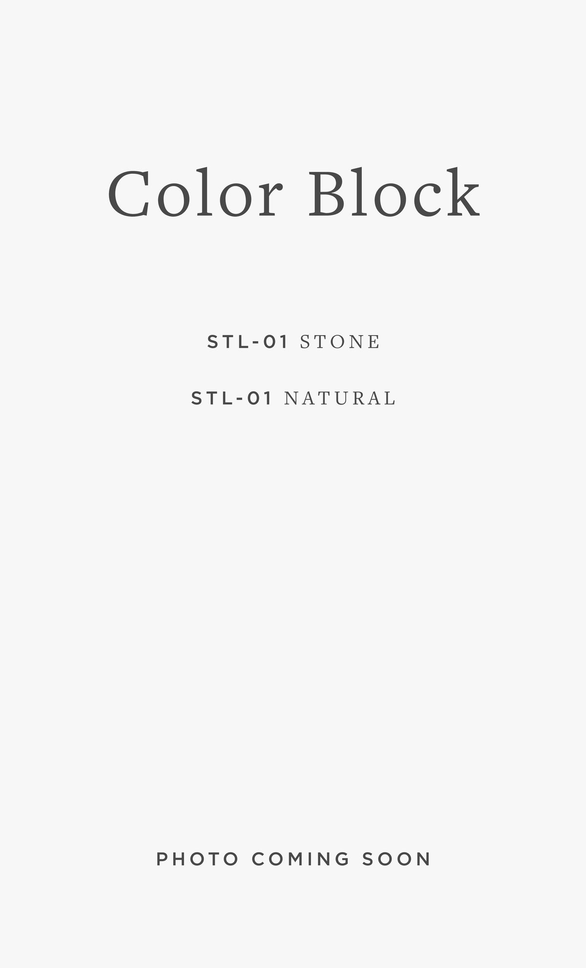 STL-01 COLOR BLOCK / 02