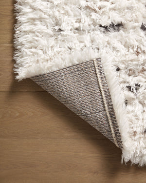 AMI-03 AR IVORY / MULTI & Loloi Rugs